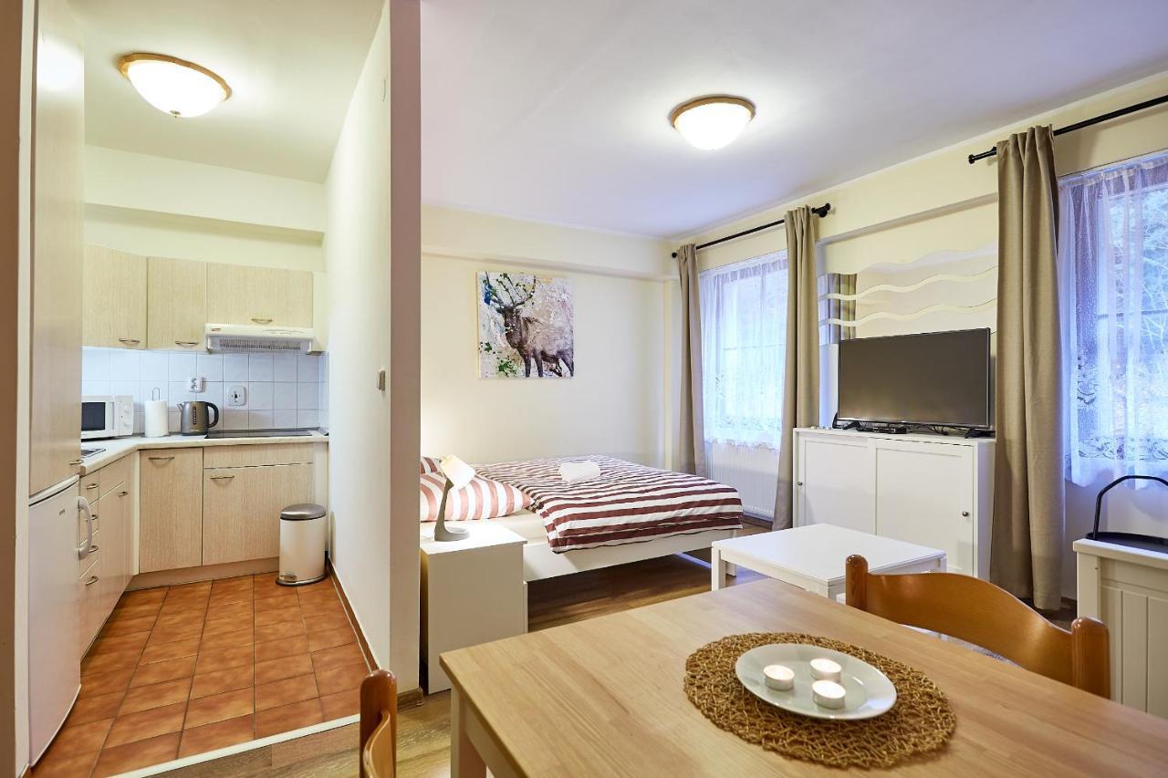 Lanovka Apartman Jáchymov Kültér fotó